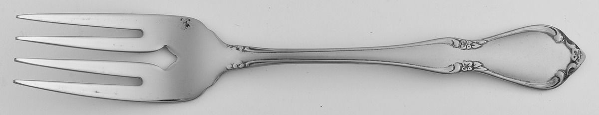 Chateau (Stainless, Frosted) Individual Salad Fork by Oneida Silver-1