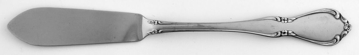 Chateau (Stainless, Frosted) Flat Handle Master Butter Knife by Oneida Silver-1