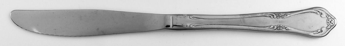 Chateau (Stainless, Frosted) Modern Solid Knife by Oneida Silver-1