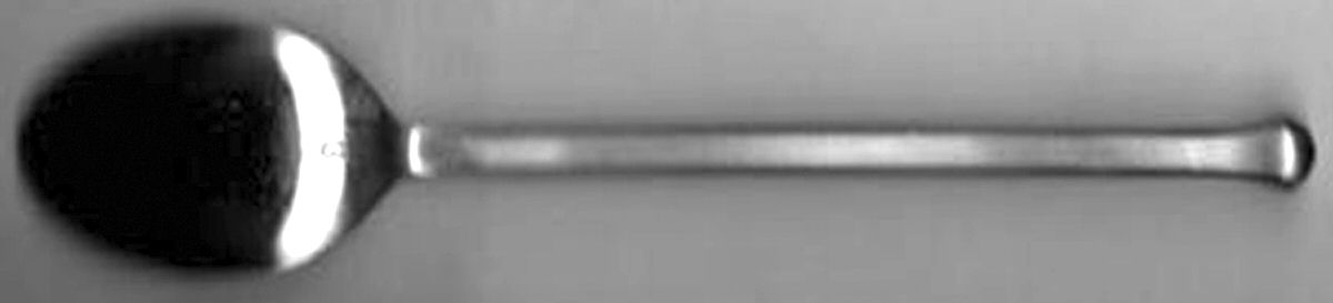 OHS386 (Stainless) Teaspoon by Oneida Silver-1