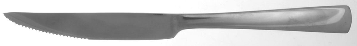 Aptitude (Stainless) Individual Solid Handle Steak Knife by Oneida Silver-1