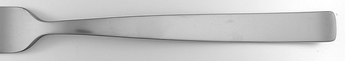 Berg (Stainless) Fork by Oneida Silver-1