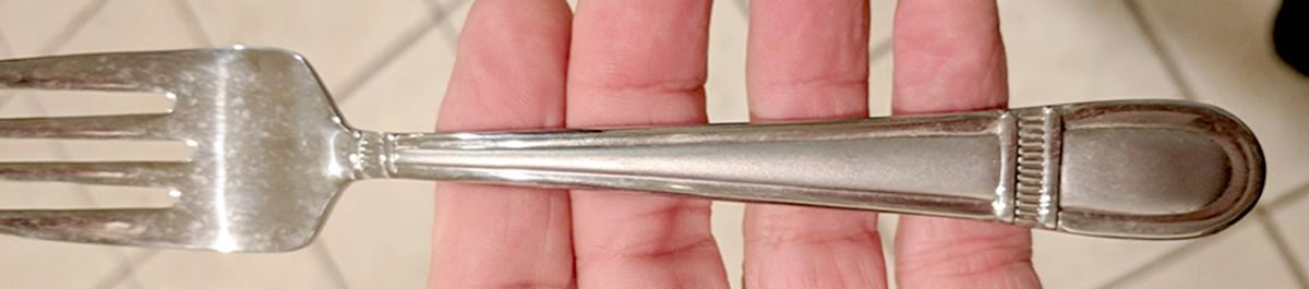 Colonnade (Stainless) Fork by Oneida Silver-1