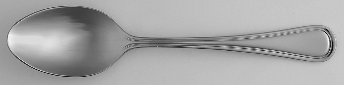 Levi (Stainless) Teaspoon by Oneida Silver-1