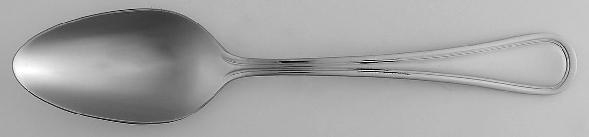 Levi (Stainless) Tablespoon (Serving Spoon) by Oneida Silver-1