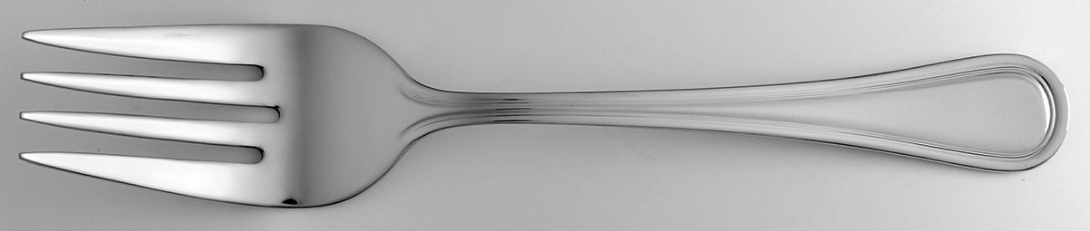 Levi (Stainless) Medium Solid Cold Meat Serving Fork by Oneida Silver-1