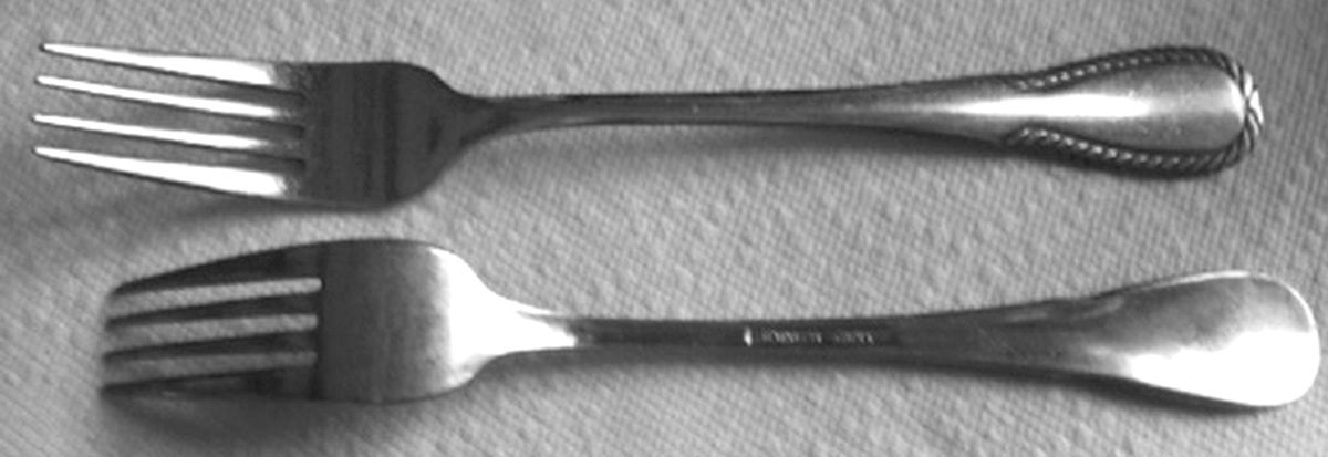 OHS404 (Stainless) Fork by Oneida Silver-1