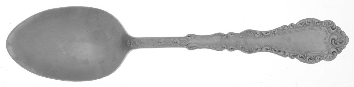 Webster I (Nickel Silver) Teaspoon by Oneida Silver-1