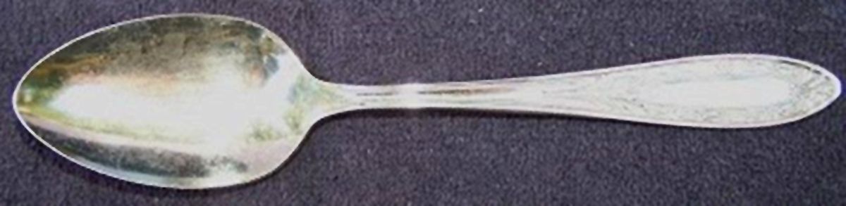 OHS405 (Silverplate) Tablespoon (Serving Spoon) by Oneida Silver-1