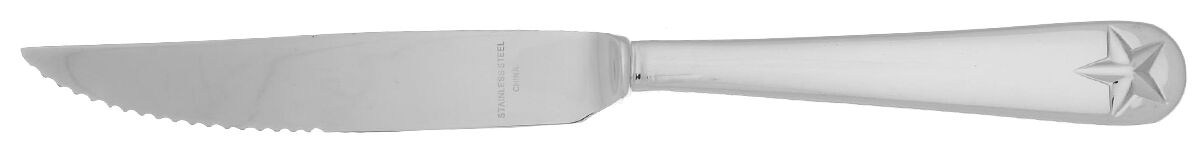 Tindra (Stainless) Steak Knife Individual Hollow, Serrate HC by Oneida Silver-1