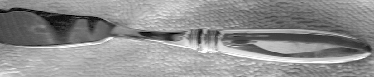 OHS419 (Stainless) Hollow Handle Master Butter Knife by Oneida Silver-1