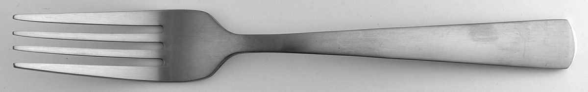 Anderson (Stainless) Individual Salad Fork by Oneida Silver-1