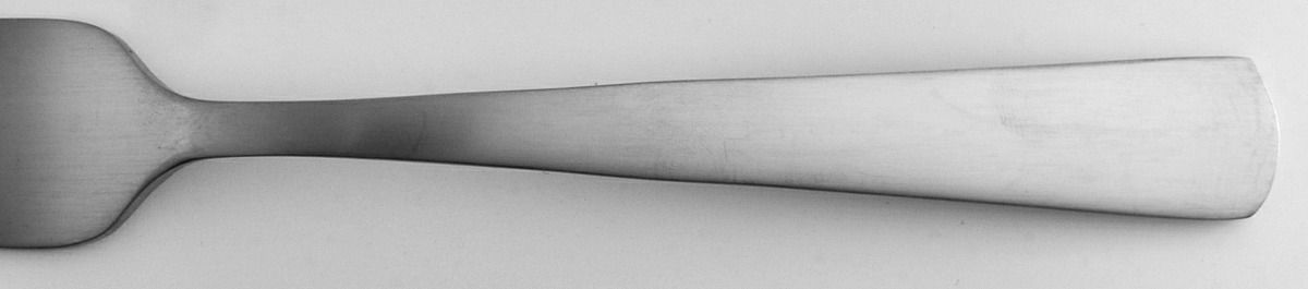 Anderson (Stainless) Fork by Oneida Silver-1