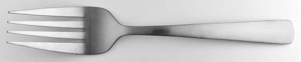 Anderson (Stainless) Medium Solid Cold Meat Serving Fork by Oneida Silver-1