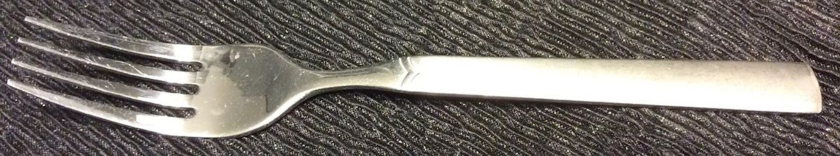 OHS426 (Stainless) Fork by Oneida Silver-1
