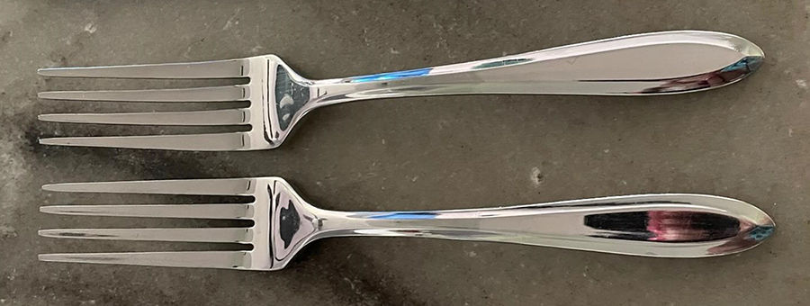 Patrician (Stainless) Fork by Oneida Silver-1