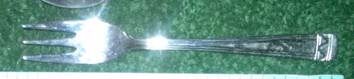 OFF1 (Stainless) Individual Salad Fork by Offenbach-1