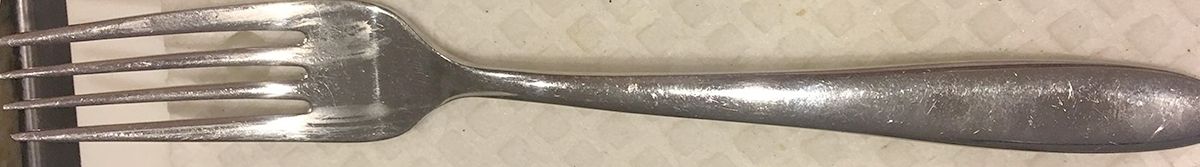 OHS448 (Stainless) Fork by Oneida Silver-1