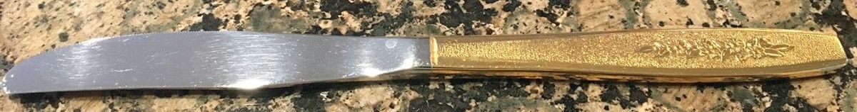 Golden Spring Ballad (Gld Elctplt Modern Solid Knife by Oneida Silver-1