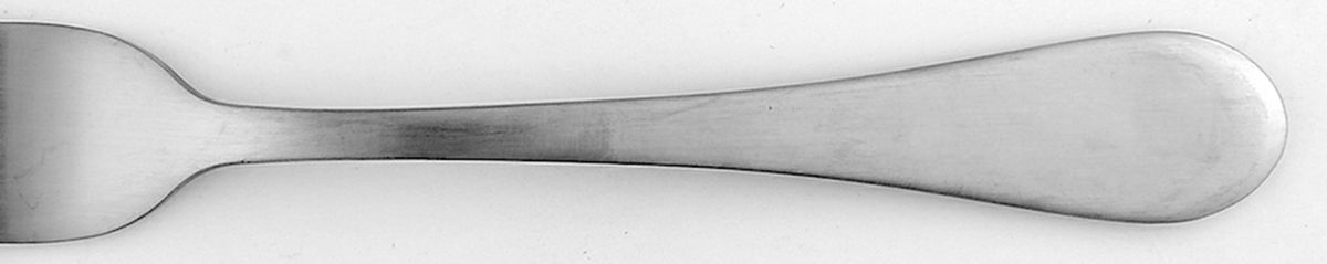 Satin Icarus (Stainless) Fork by Oneida Silver-1