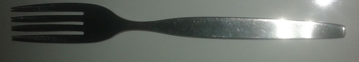 OHS456 (Stainless) Fork by Oneida Silver-1