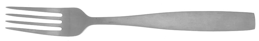 Cannon (Stainless) Fork by Oneida Silver-1