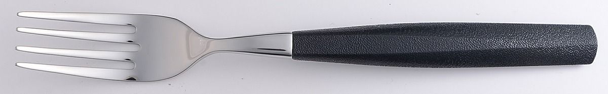 Pergola Licorice (Stainless) Individual Salad Fork by Oneida Silver-1