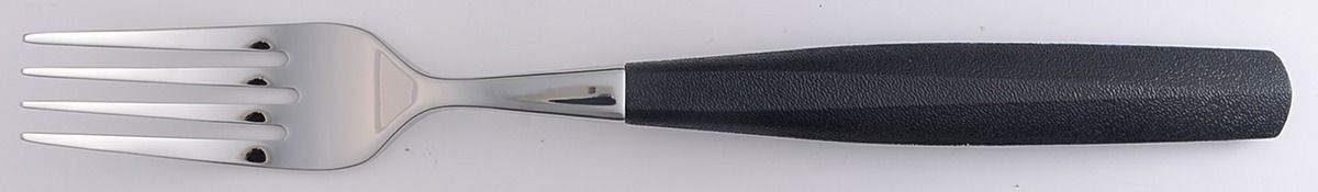 Pergola Licorice (Stainless) Fork by Oneida Silver-1