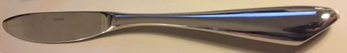 OHS469 (Stainless) Modern Solid Knife by Oneida Silver-1