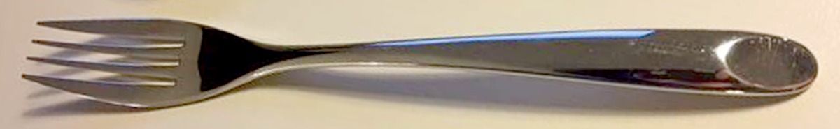 OHS469 (Stainless) Fork by Oneida Silver-1
