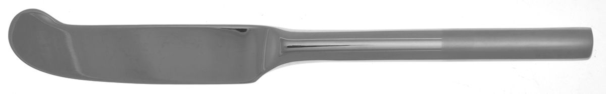 Rylan (Stainless) Flat Handle Master Butter Knife by Oneida Silver-1