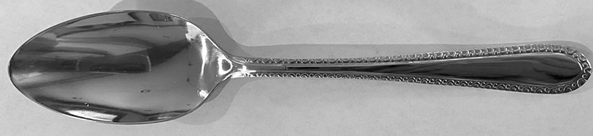 OHS495 (Stainless) Teaspoon by Oneida Silver-1