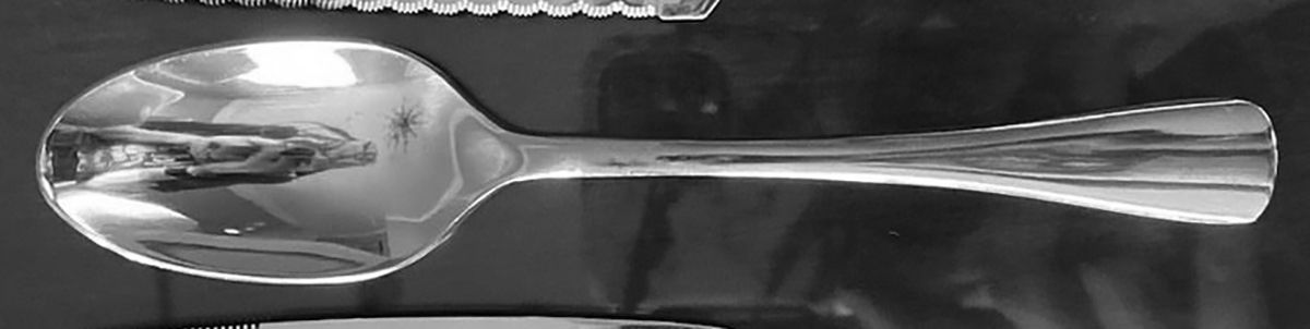 OHS500 (Stainless) Teaspoon by Oneida Silver-1