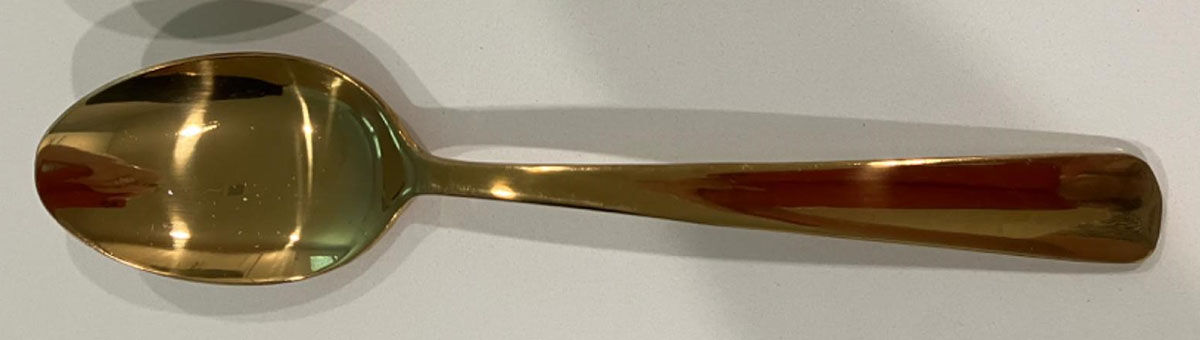Aptitude Champagne Satin Tablespoon (Serving Spoon) by Oneida Silver-1