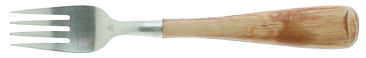 Aspen (Stainless, Honey-Light Brown Wood) Individual Salad Fork by Pottery Barn-1