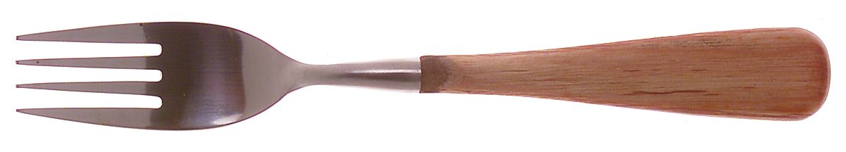 Aspen (Stainless, Honey-Light Brown Wood) Fork by Pottery Barn-1