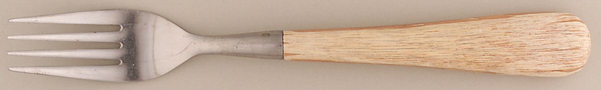 Aspen (Stainless, Honey-Light Brown Wood) Fork by Pottery Barn-1