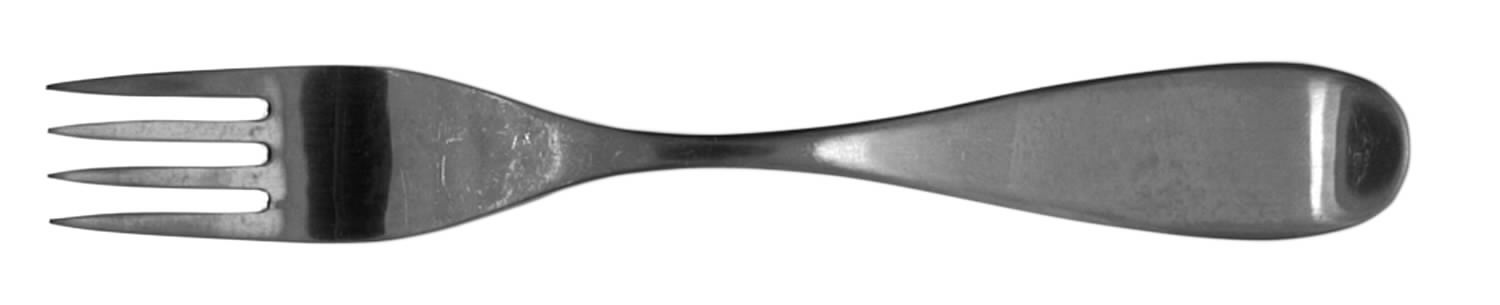 Octo (Stainless) Fork by Pottery Barn-1