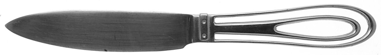PBN3 (Stainless) New French Solid Knife by Pottery Barn-1
