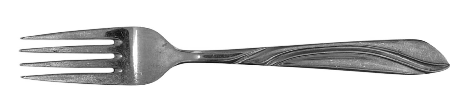 Timeless (Stainless) Fork by Permabrite-1