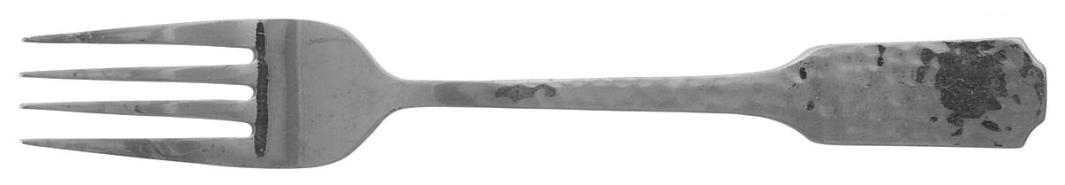 PII1 (STAINLESS) Individual Salad Fork by Pier 1-1