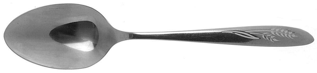 Flowing Wheat (Stainless) Tablespoon (Serving Spoon) by Prestige-1