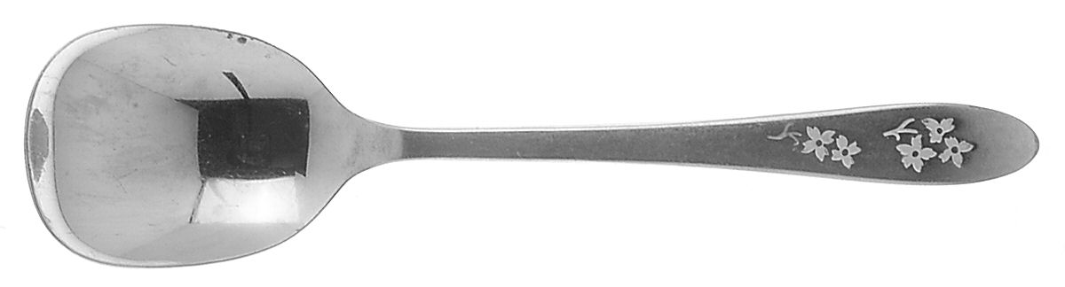 PSS5 (STAINLESS, DECO ETCHED) Sugar Spoon by Prestige-1