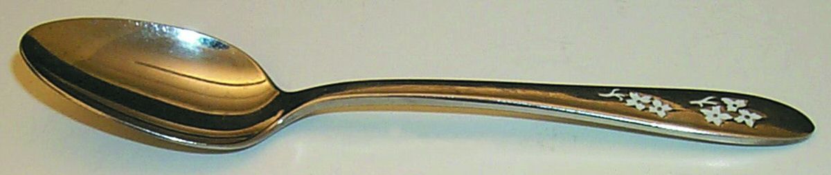 PSS5 (STAINLESS, DECO ETCHED) Teaspoon by Prestige-1
