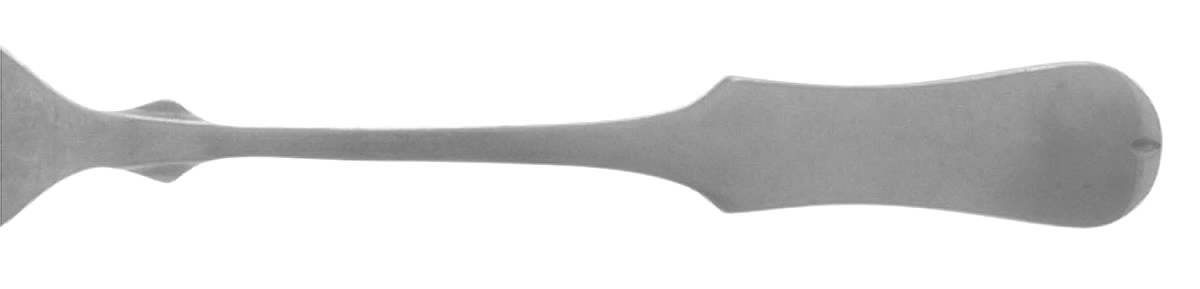 Chesterfield (Stainless) Fork by Present-1