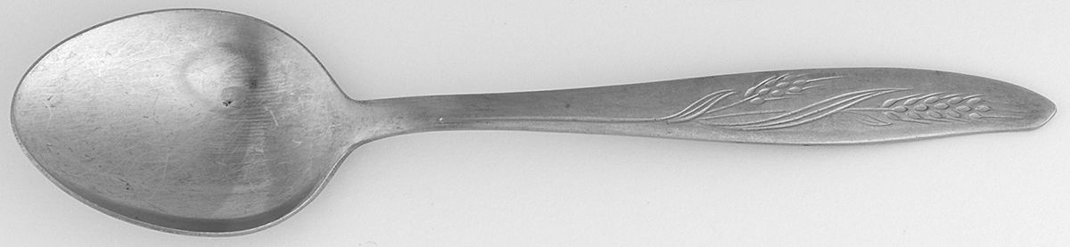 Gracious Wheat (Stainless) Teaspoon by Present-1