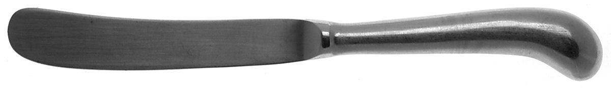 Mount Vernon (Stainless) Butter Spreader Hollow Hdl-Paddle/Stainless Blade by Present-1