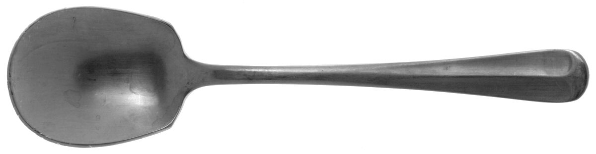 Mount Vernon (Stainless) Sugar Spoon by Present-1