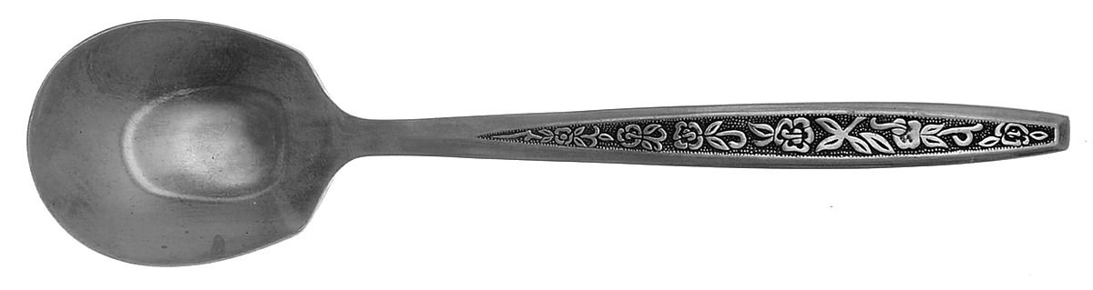 Semering (Stainless) Sugar Spoon by Present-1