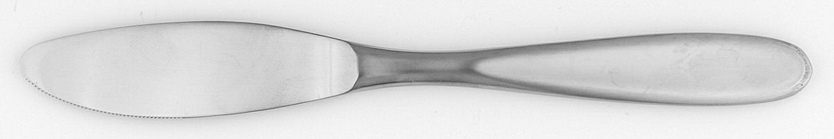 Tivoli (Stainless) Modern Solid Knife by Pottery Barn-1